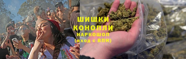 спиды Новозыбков