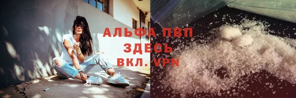 спиды Новозыбков