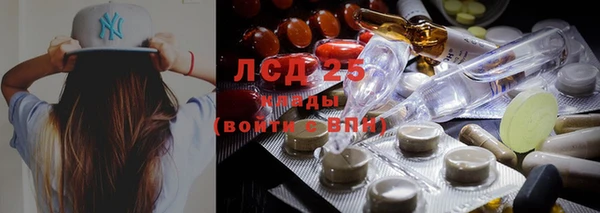 спиды Новозыбков