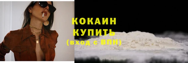 спиды Новозыбков